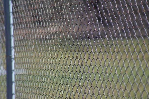A close up of a chain link fence with a field in the background.