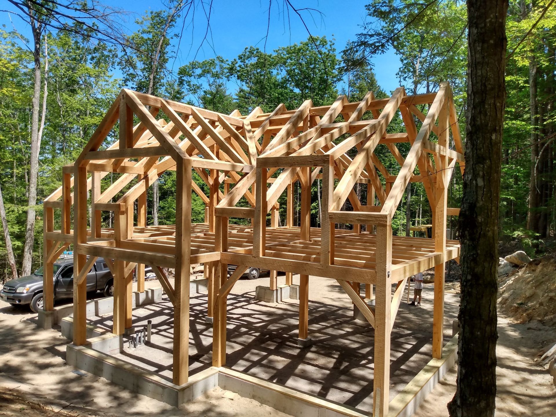 A wooden structure is being built in the middle of a forest