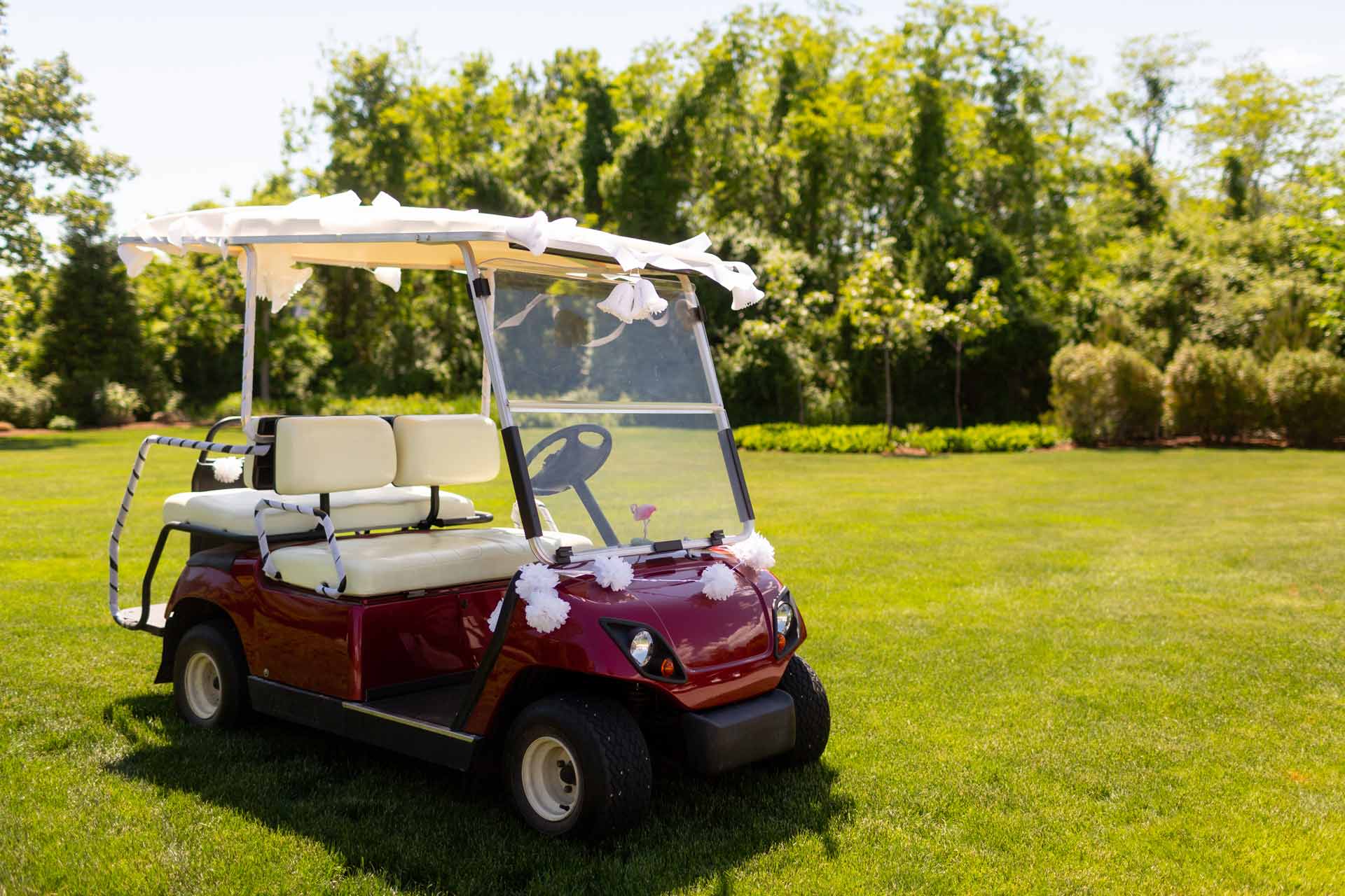 Golf Carts Colorado Springs, CO Lifestyle Golf Carts