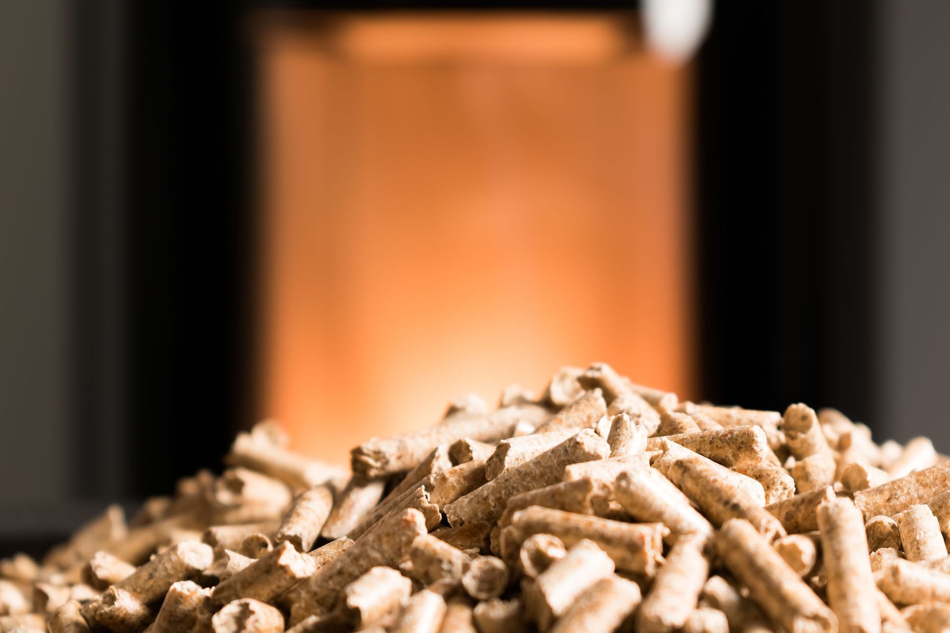 Vendita pellet