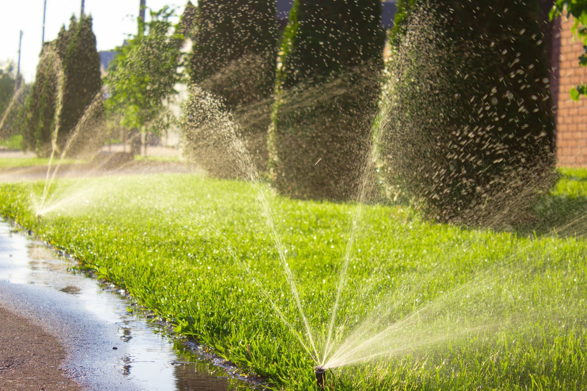 Sprinklers watering a green lawn beside a paved area and trimmed bushes.