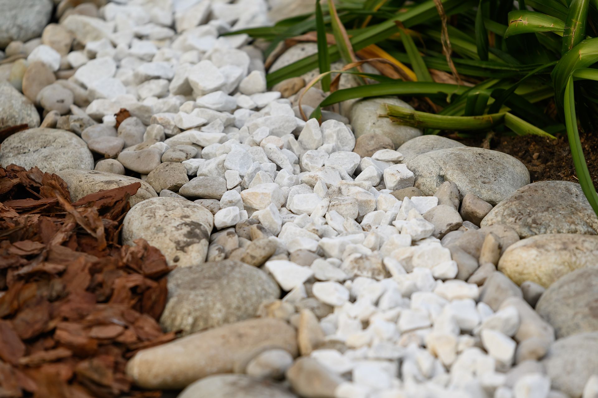 Garden bed with rocks and wood chips. White, gray, and brown materials create a layered look around plants.