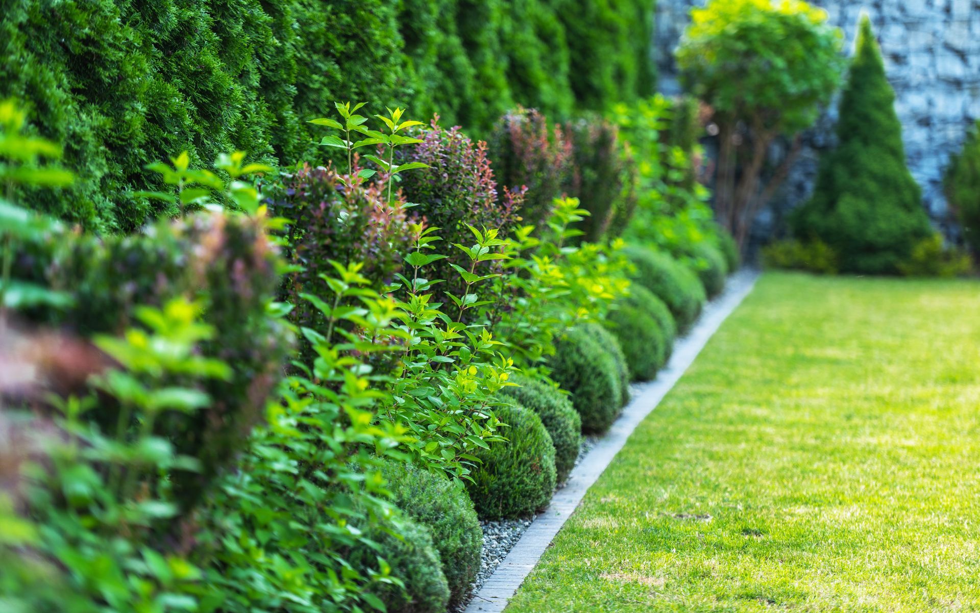 Green hedges, trimmed shrubs, and lawn border a garden path, sunny and well-manicured.