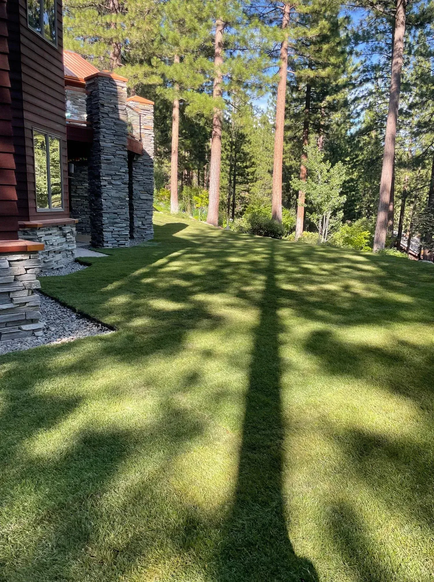 Green lawn with tree shadow, next to a house with stone and wood siding, trees in background.
