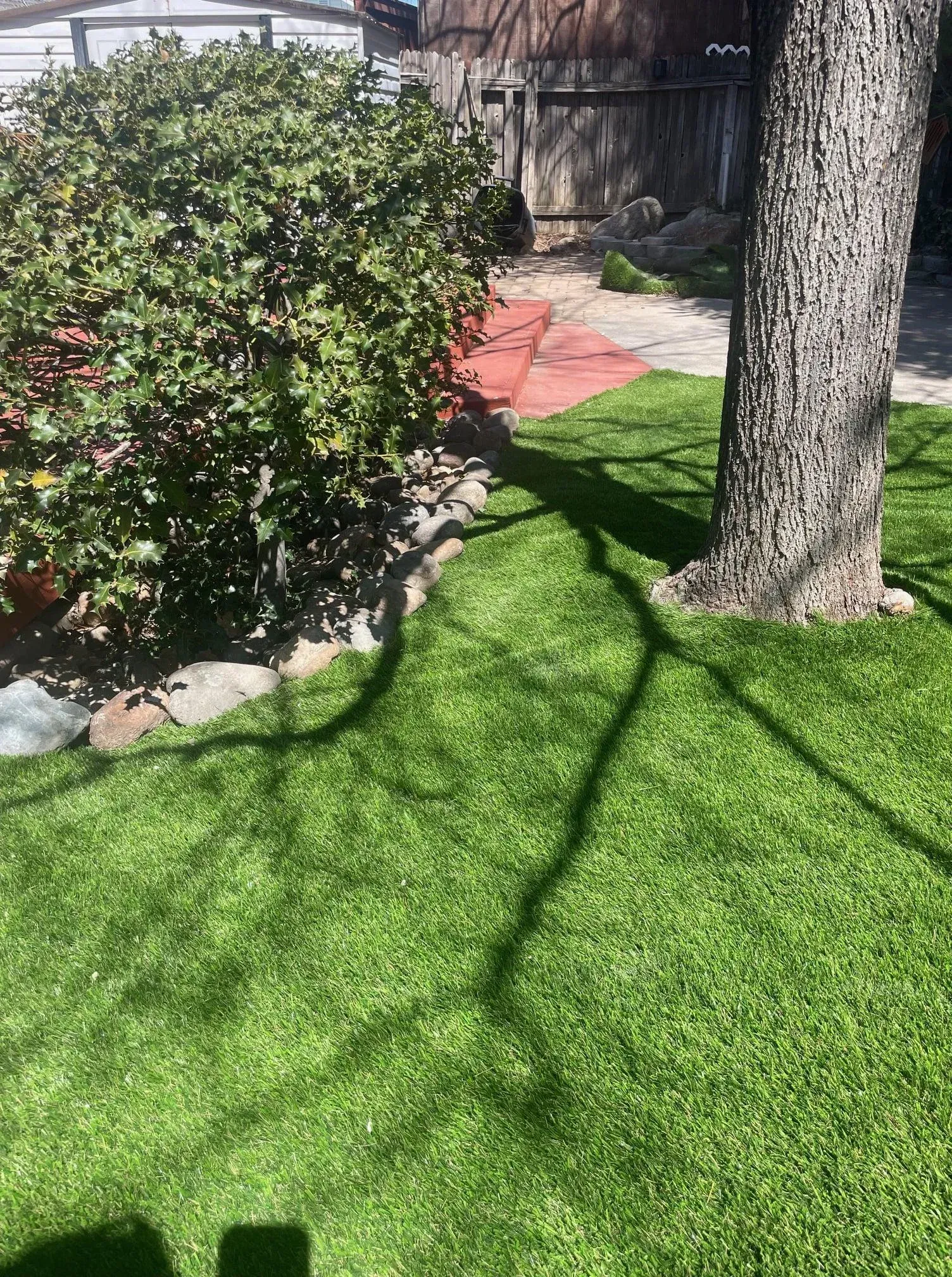 Green lawn with tree and bush, a red brick pathway is visible in the background.