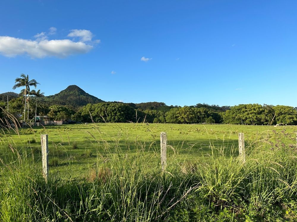 Sunny Green Pasture with Trees and A Small Mountain — Urbon Sheds in Mullumbimby, NSW