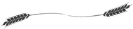 icona divisoria