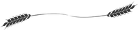icona divisoria