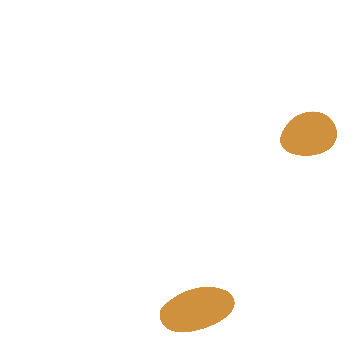 Two brown oval shapes against a white background.