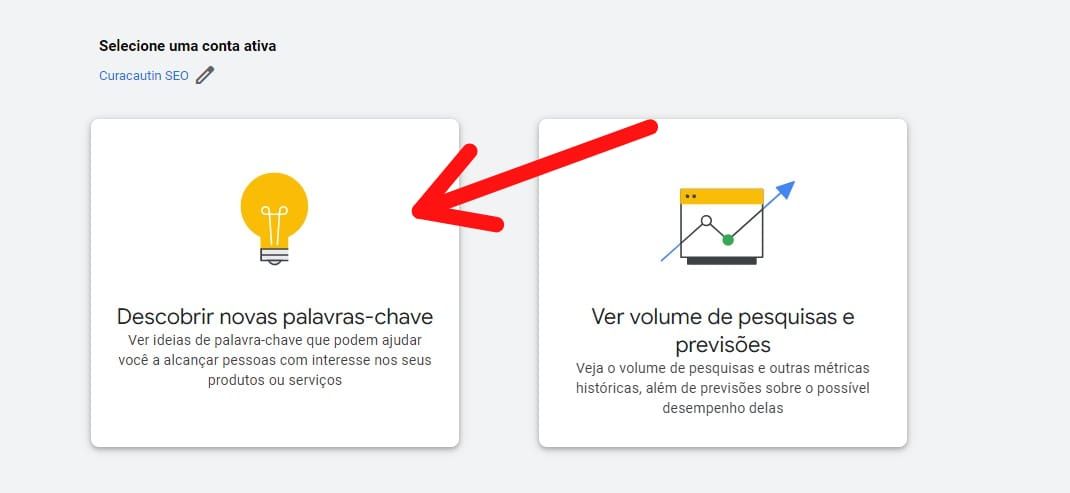 Logo em seguida aparece as opções Descobrir novas palavras-chave à esquerda e ver volume de buscas à direita