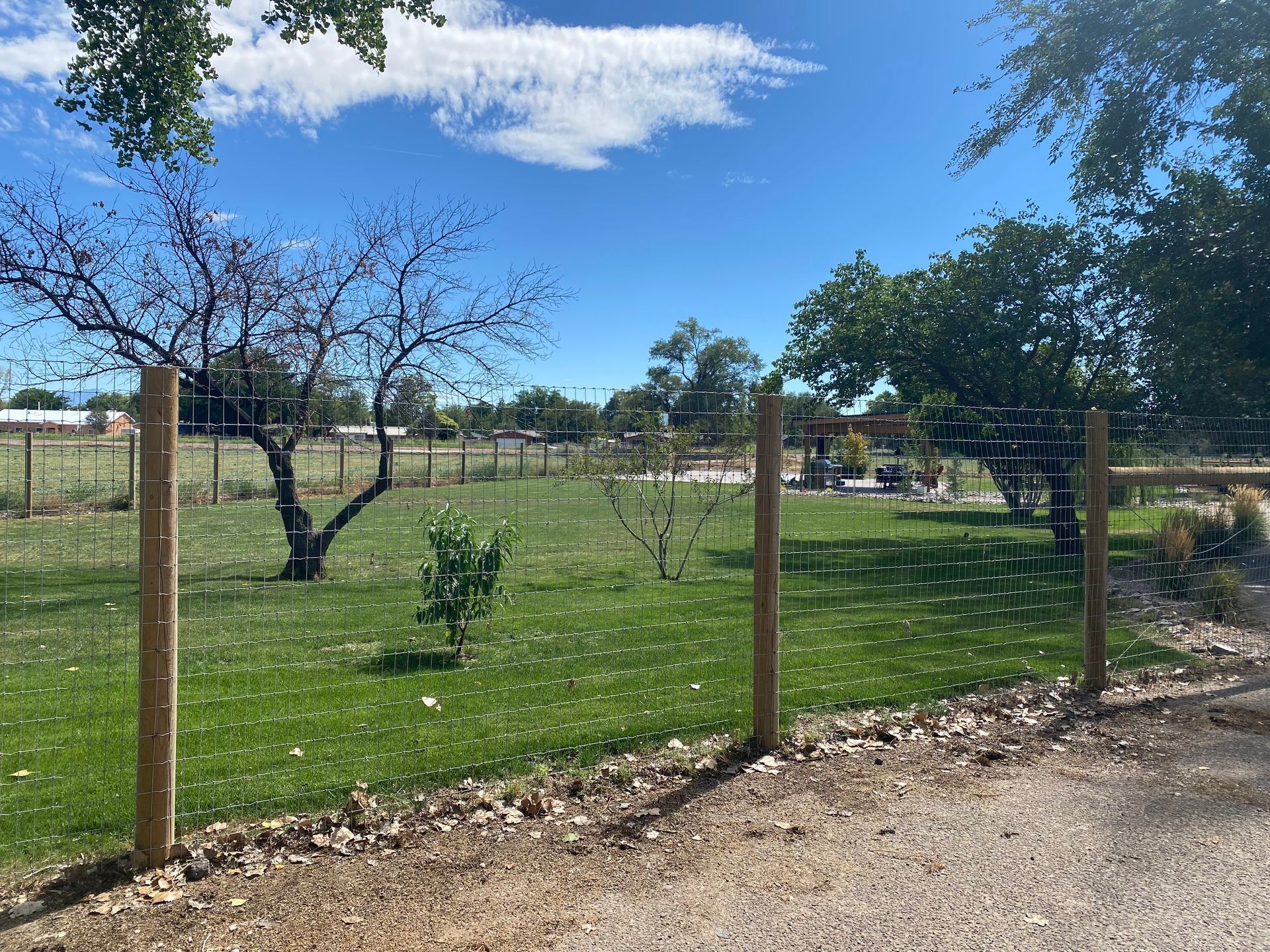 A wooden fence surrounds a grassy field with trees in the background.