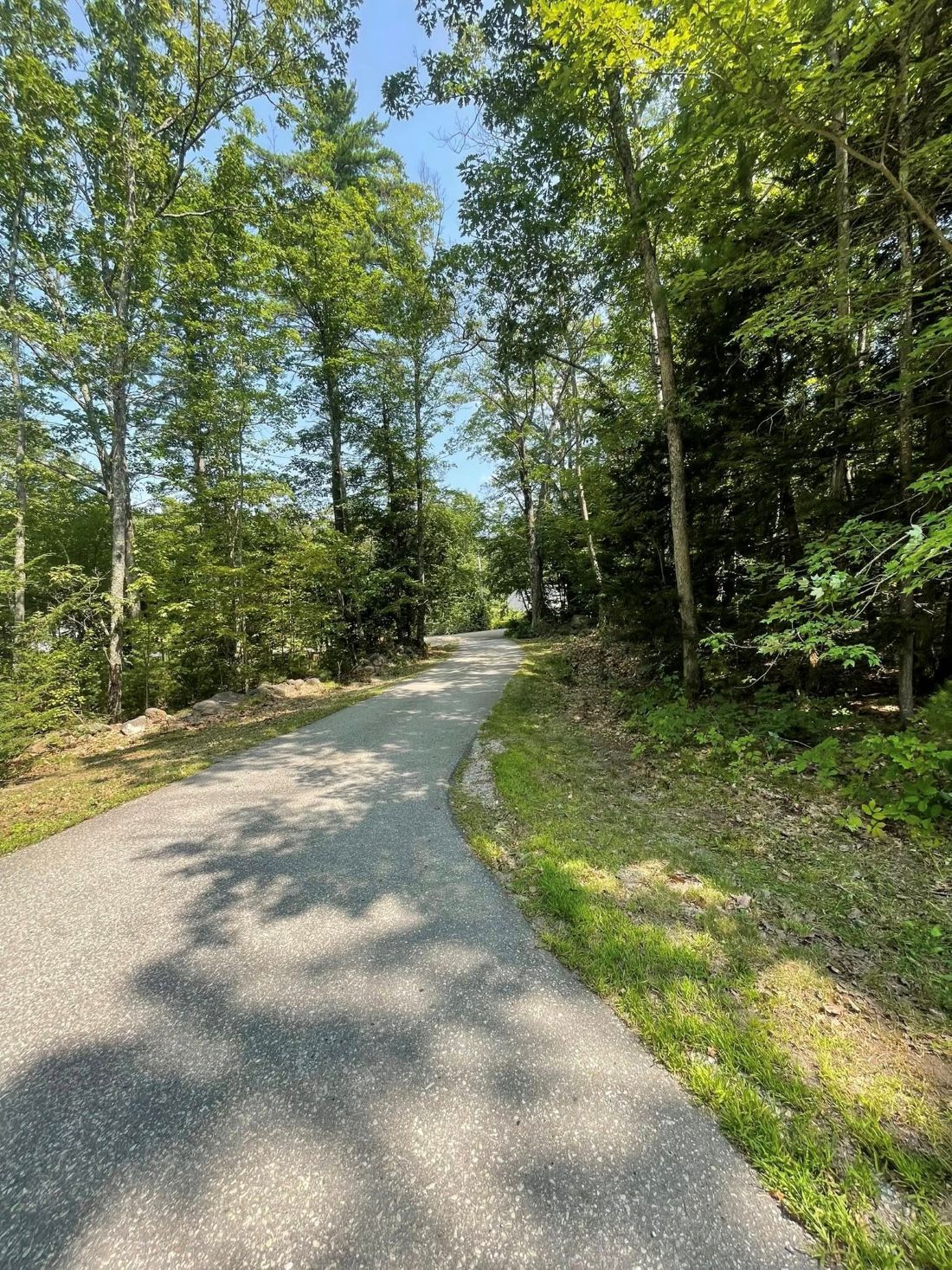 Paved pathway winding through a shaded forest, sunny day.