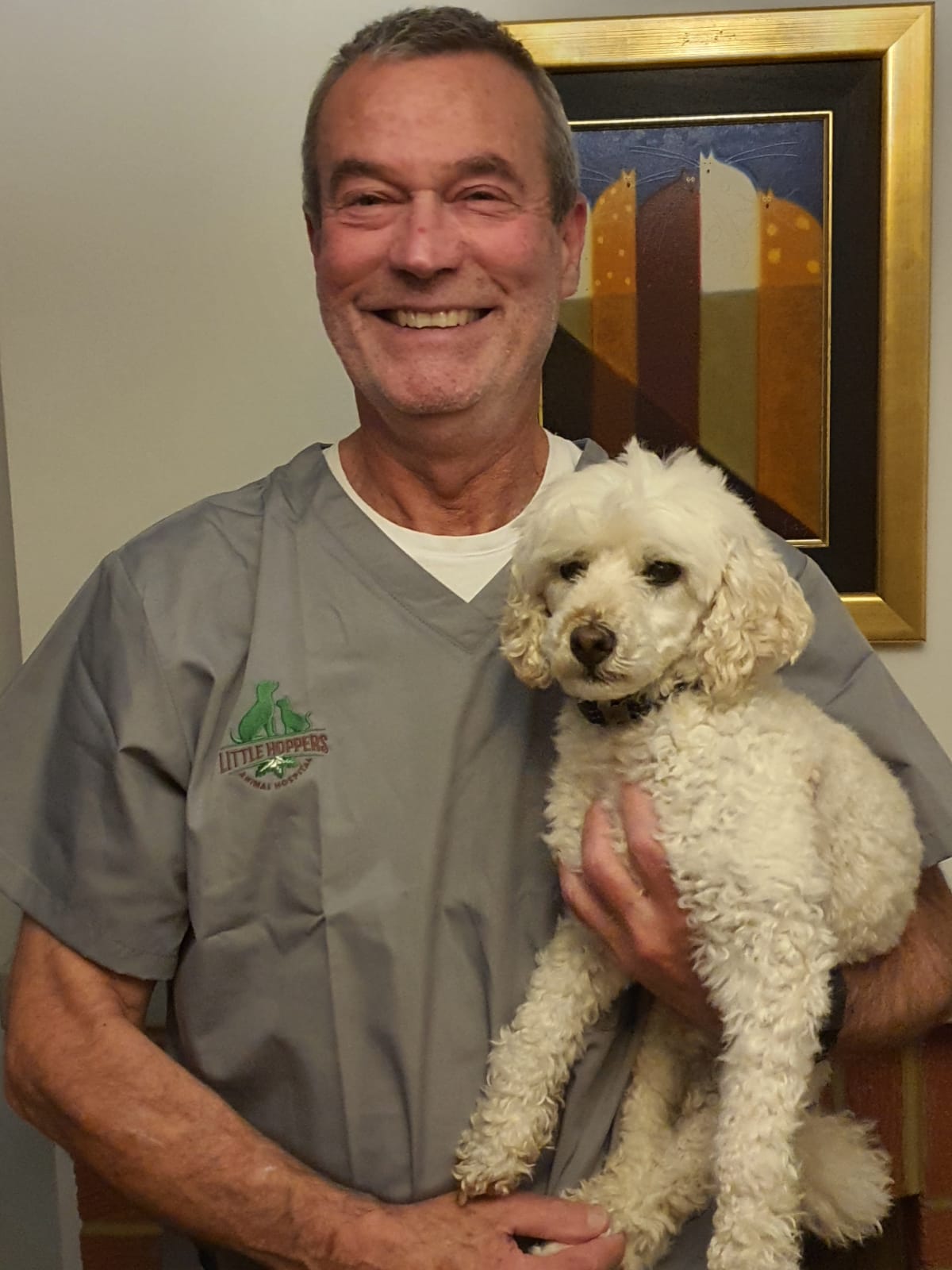 Veterinary surgeons Little Hoppers Vets