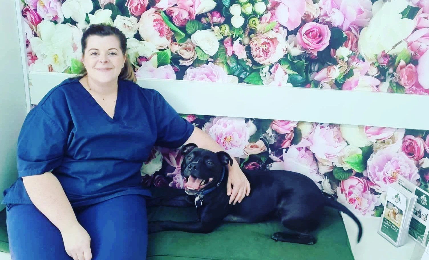 Veterinary surgeons Little Hoppers Vets