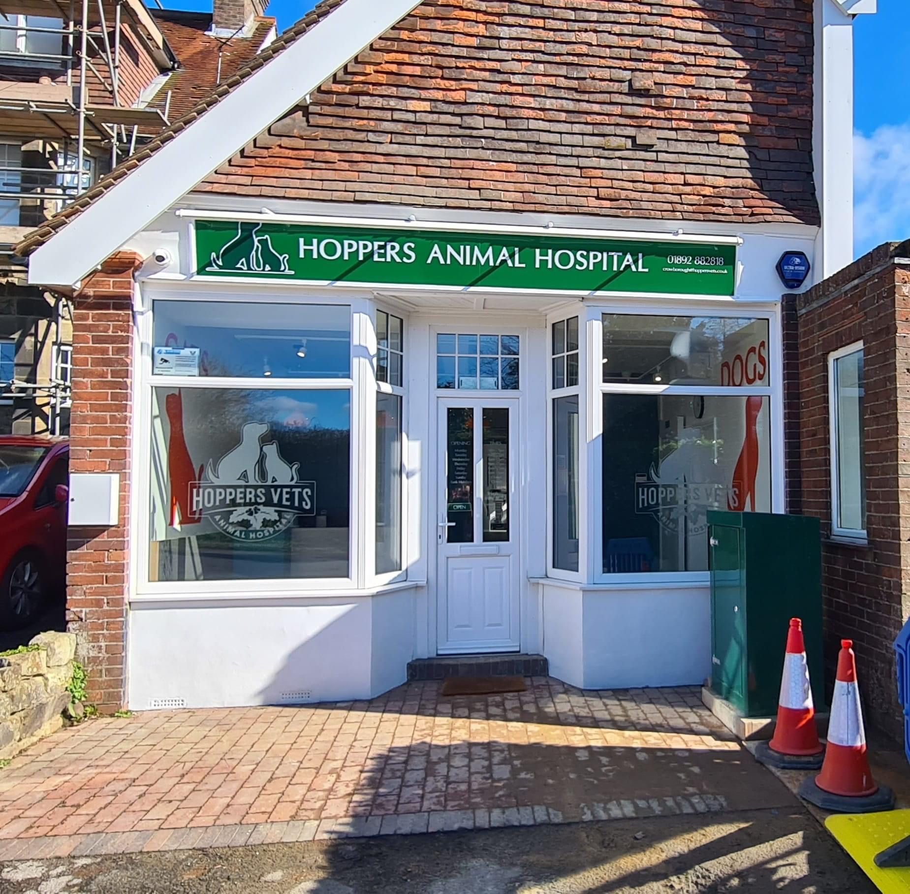 A local pet clinic Little Hoppers Vets