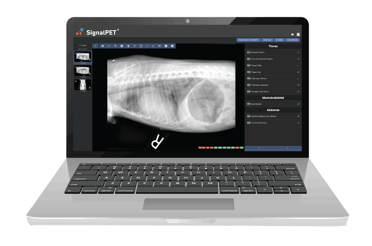 SignalPet 1