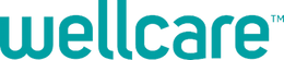 The logo for wellcare is blue and white on a white background.
