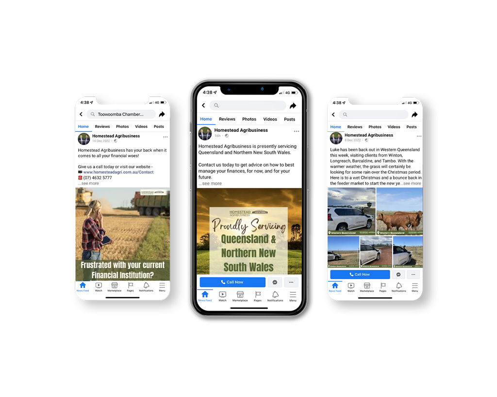 homestead agribusiness social media