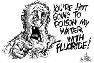 A cartoon of a man pointing at someone with the words `` you 're not going to poison my water with fluoride ''