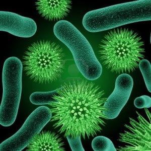 A computer generated image of green bacteria on a black background.