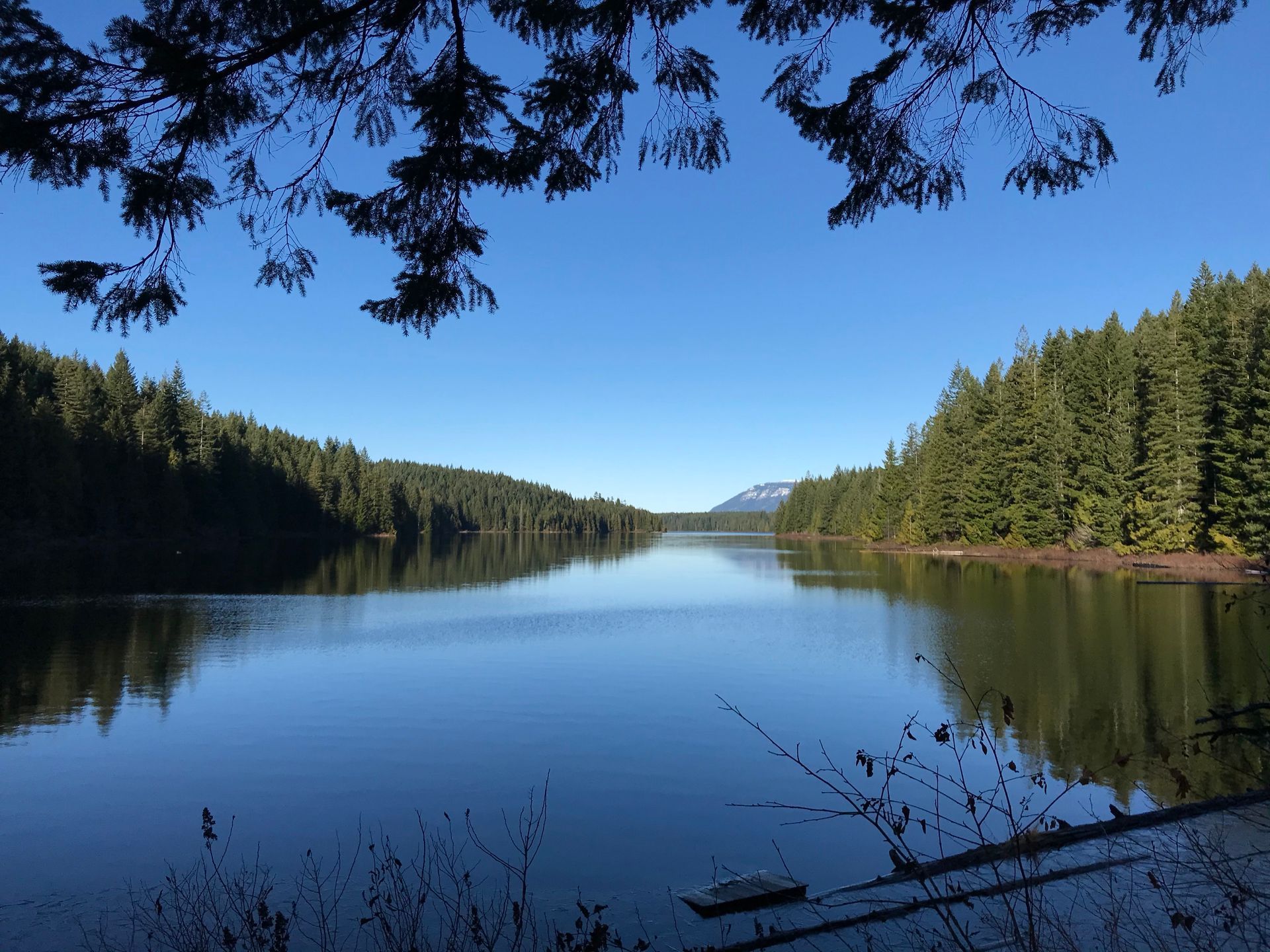 A lake surrounded by trees on a sunny day