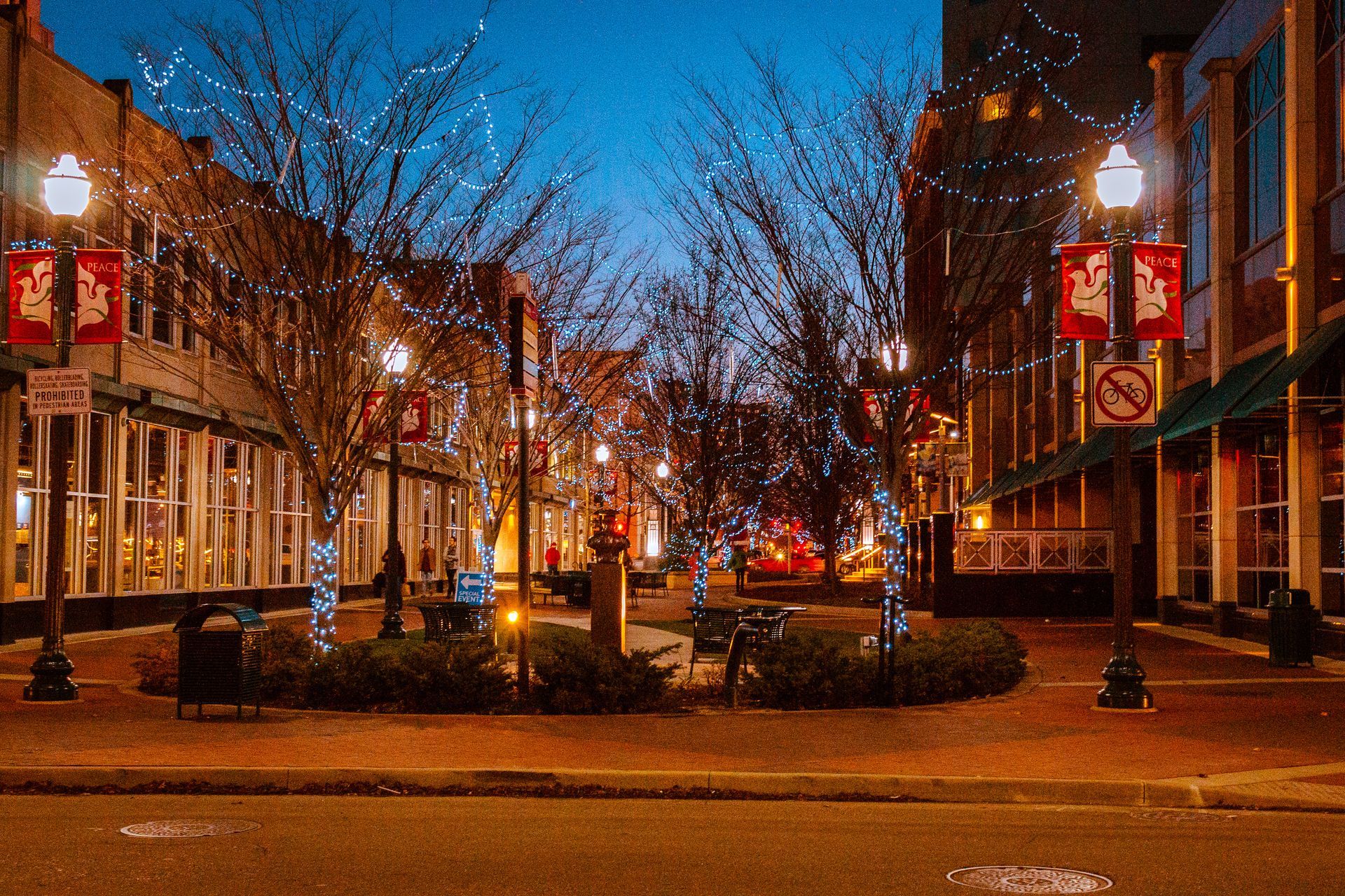 Street scene at dusk with festive lights on trees and buildings.