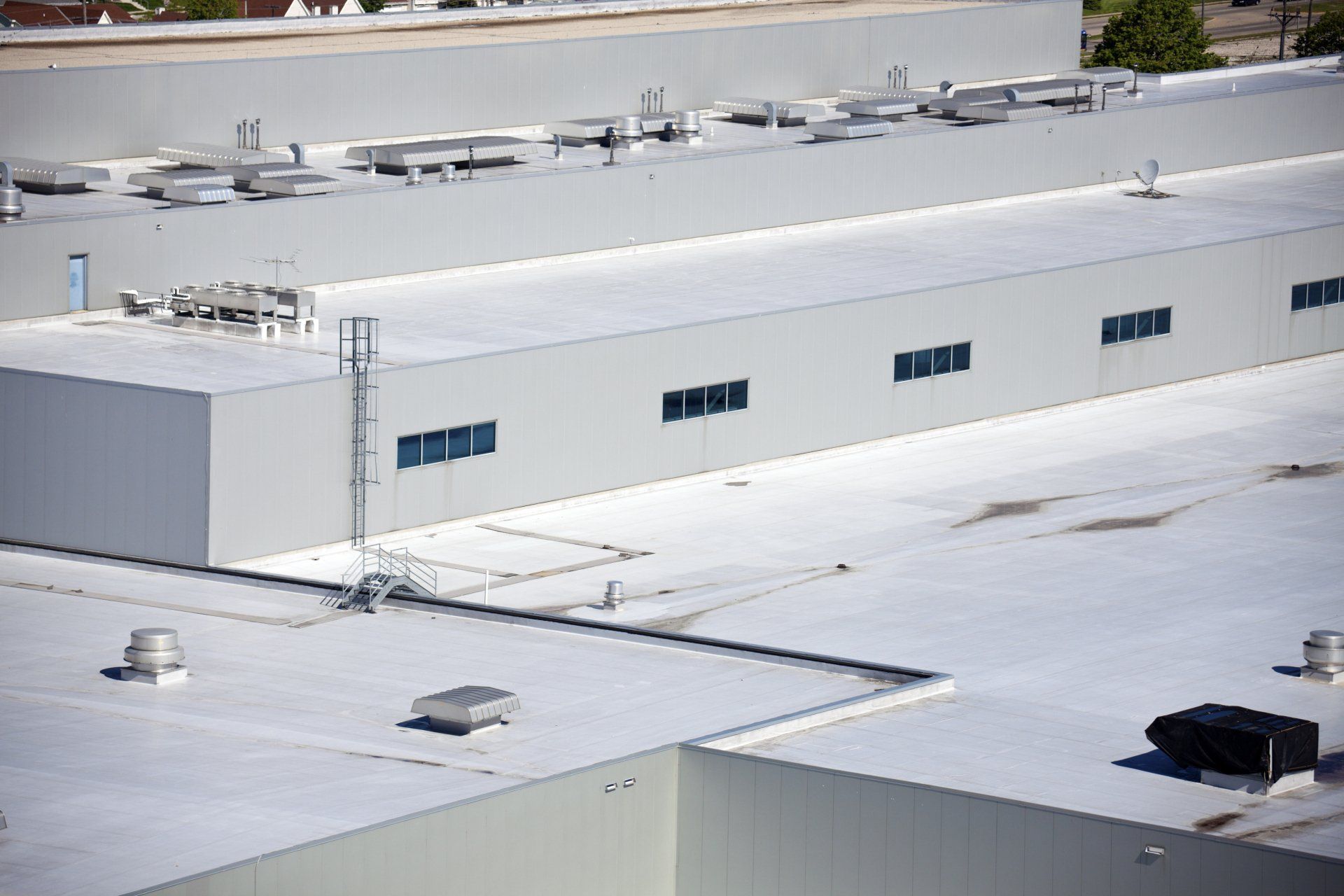 commercial roof