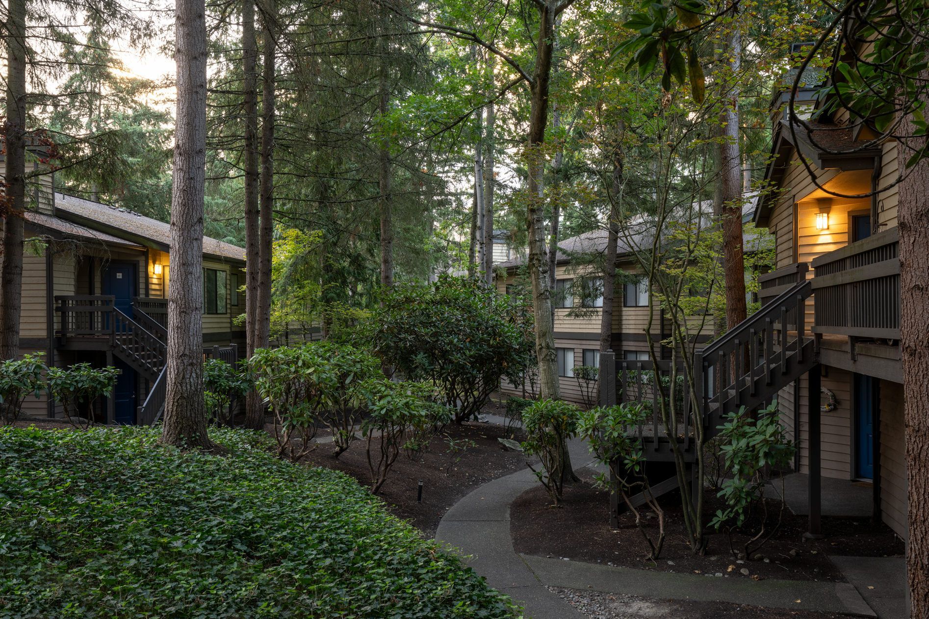 Apartment buildings nestled among trees, with dark wood stairs and walkways surrounded by lush green  plants at Park Bellevue apartment.