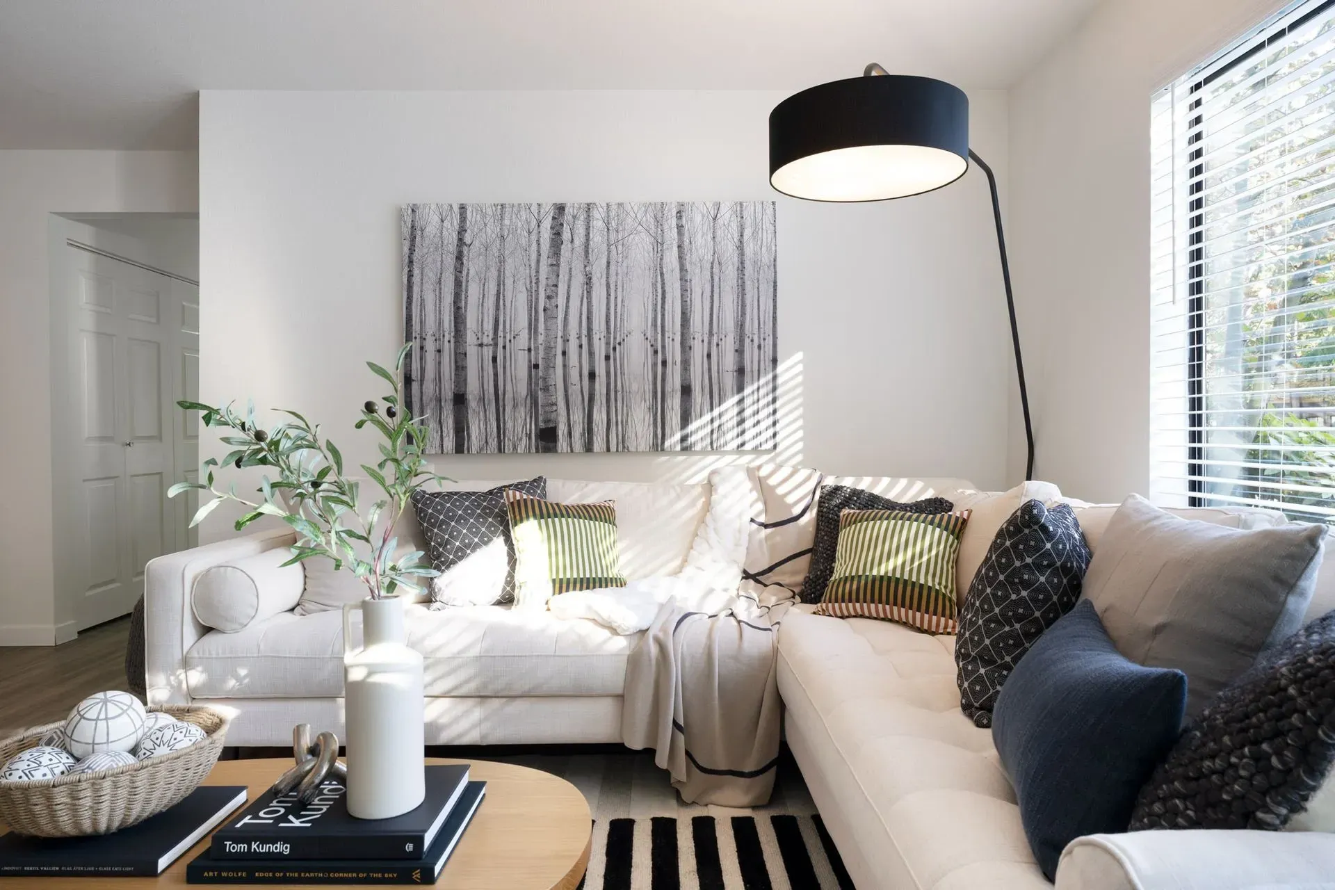 A living room with a white couch and a black lamp