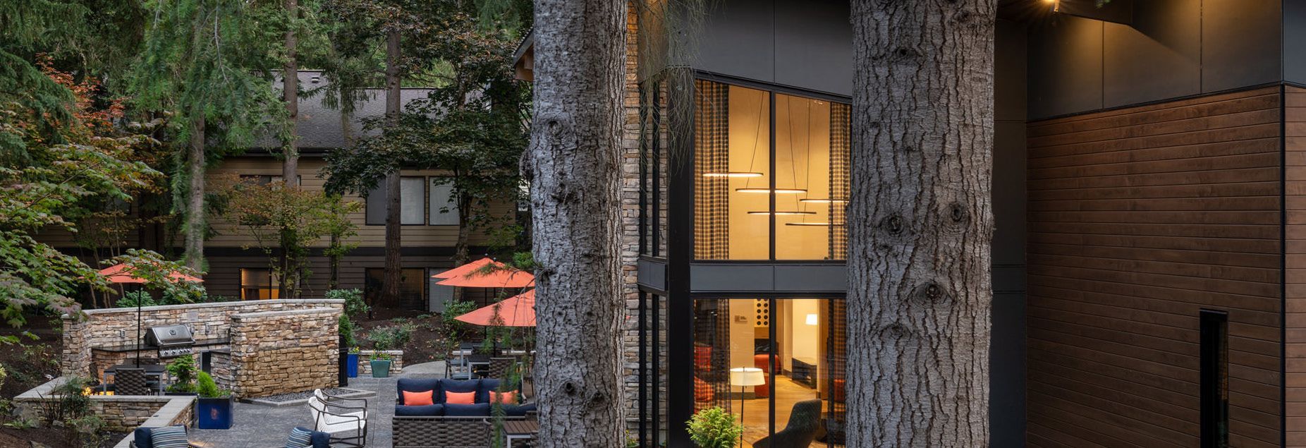 Modern building with large windows flanked by tree trunks, with outdoor seating and trees at Park Bellevue apartment.