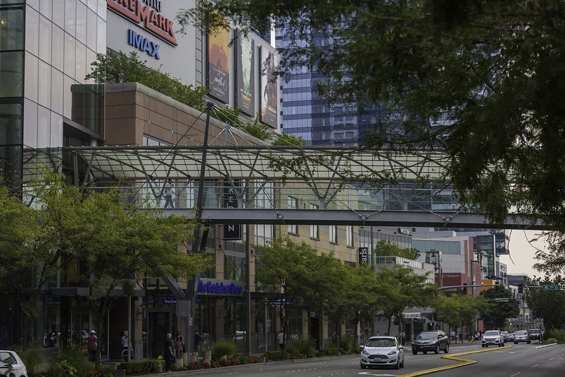 A row of trees with a tall building in the background.