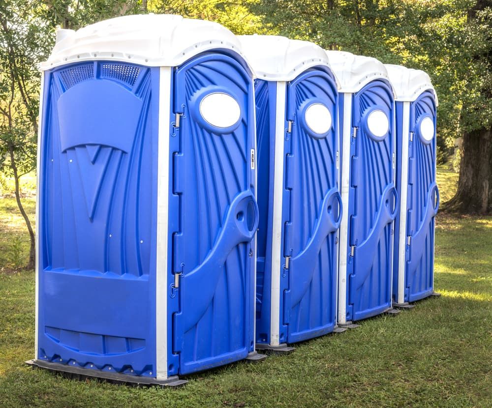 A Row of Blue Portable Toilets Are Lined Up in a Grassy Field — Tony Gordon Septic Tank Cleaning in Coffs Harbour, NSW