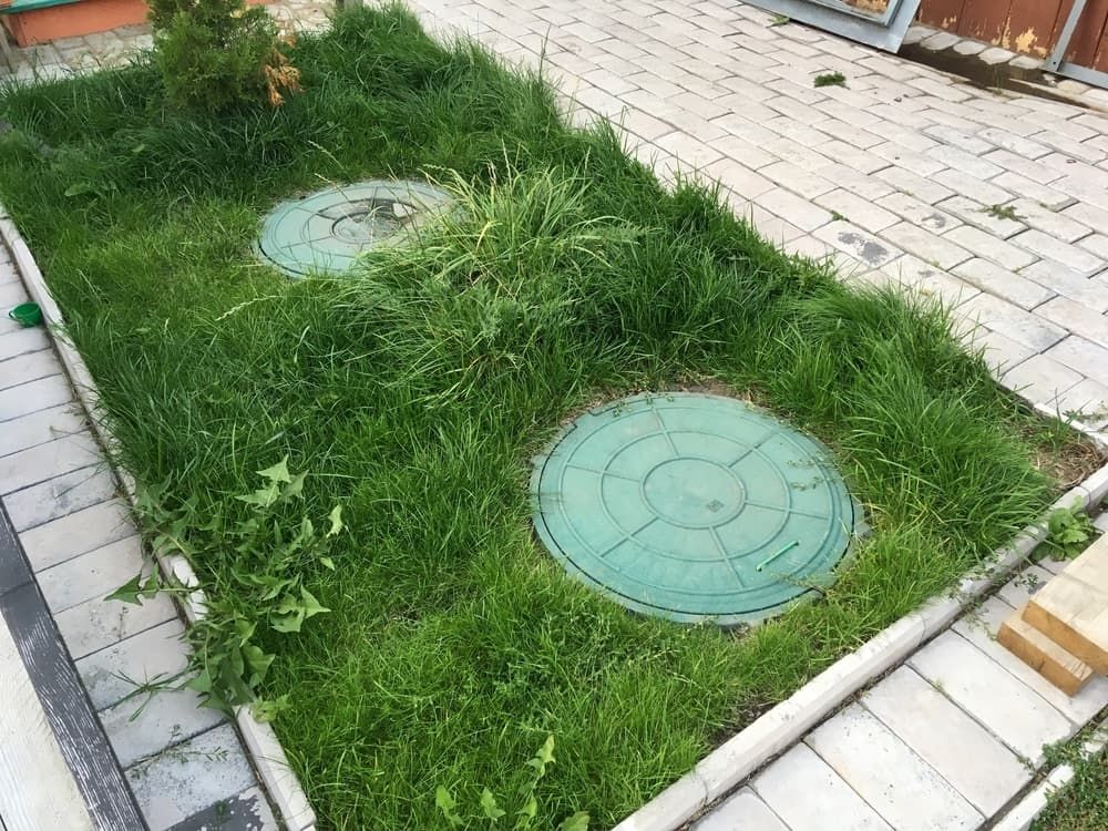 There Are Two Green Manhole Covers in the Grass — Tony Gordon Septic Tank Cleaning in Coffs Harbour, NSW