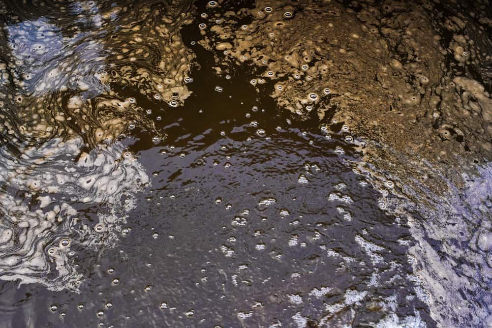 A Puddle of Water With a Lot of Bubbles in It — Tony Gordon Septic Tank Cleaning in Newee Creek, NSW
