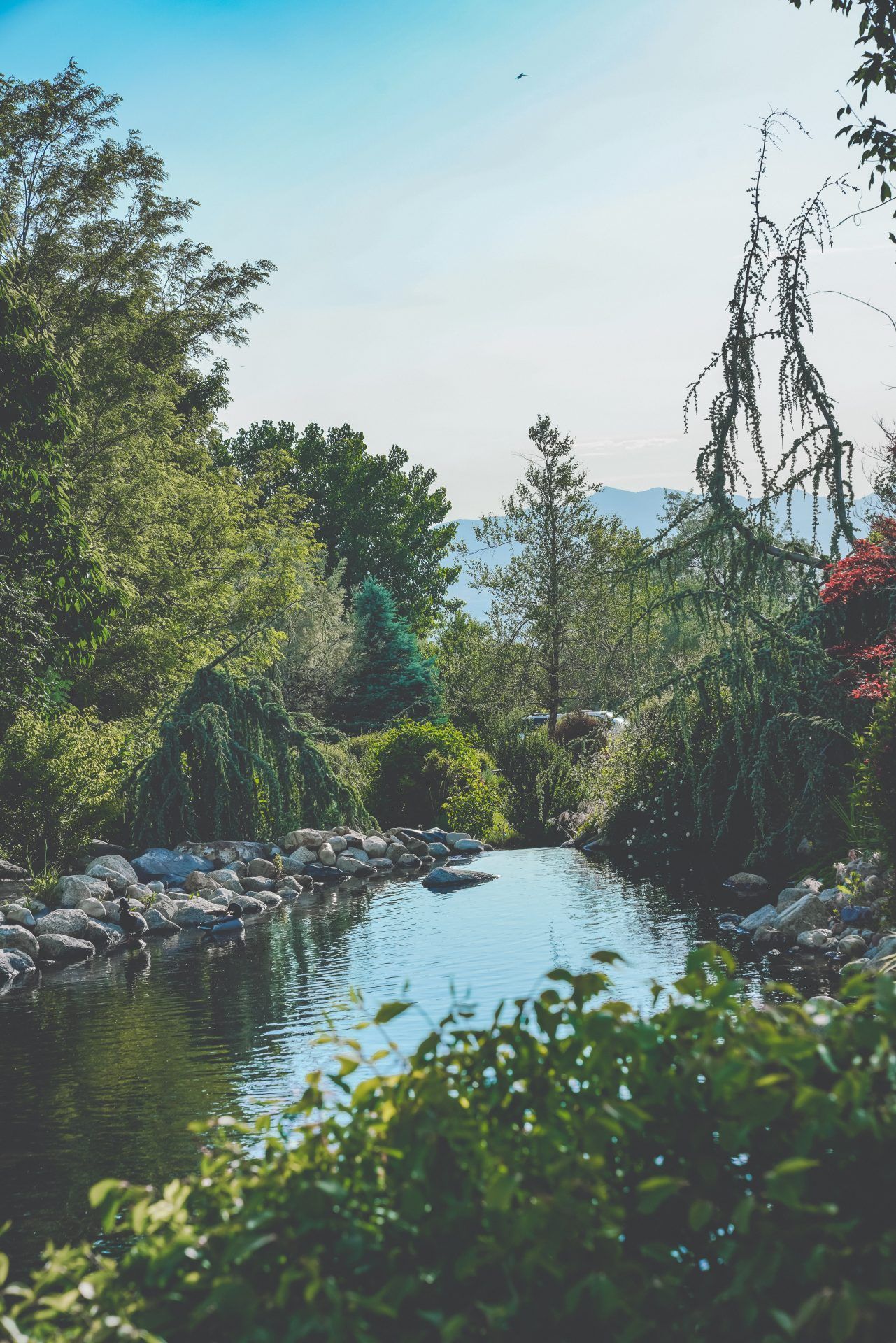 Memorial Mountain View Mortuary, Cemetery and Pet Garden grounds
