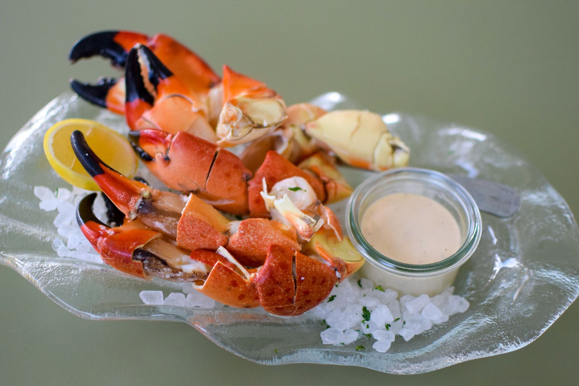 GALLION'S Rosemary Beach Events