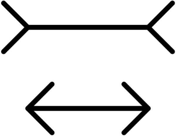 An example of the Müller-Lyer illusion with a pair of arrows pointing in opposite directions on a white background.