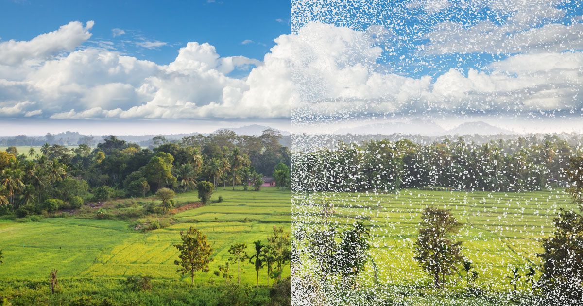 A picture of a field with trees with half of it clear and the other half has white snow or static over it.