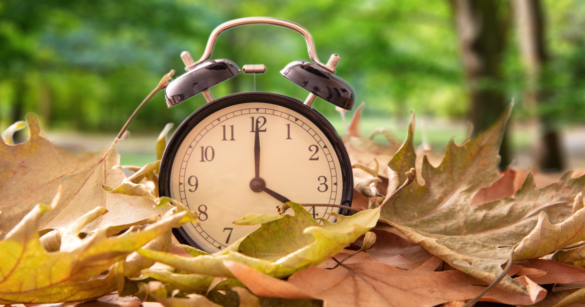 Alarm clock among autumn leaves on the ground, with a blurred green background
