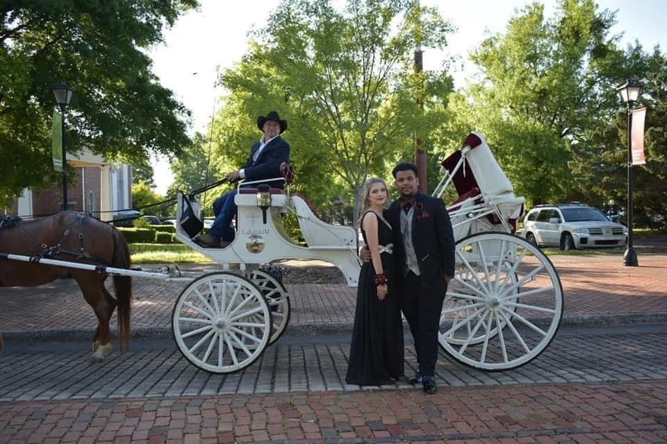 About Wild Hearts Carriage Company LLC in Athens, AL About Wild Hearts Carriage Company LLC in Athens, AL
