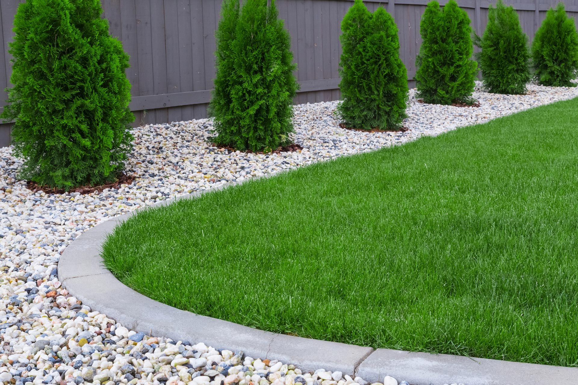 Lush green lawn borders a gravel bed with evergreen trees, a gray curb, and a wooden fence.