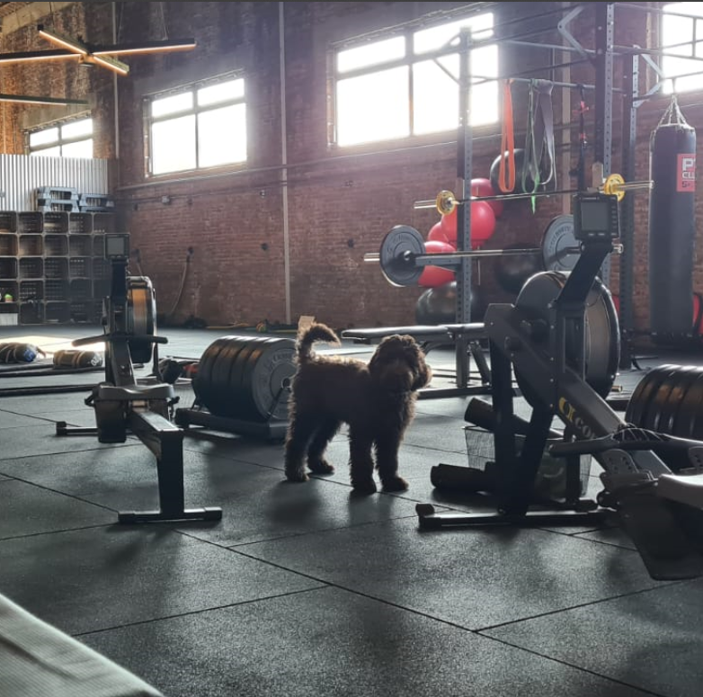 fitness mascotte