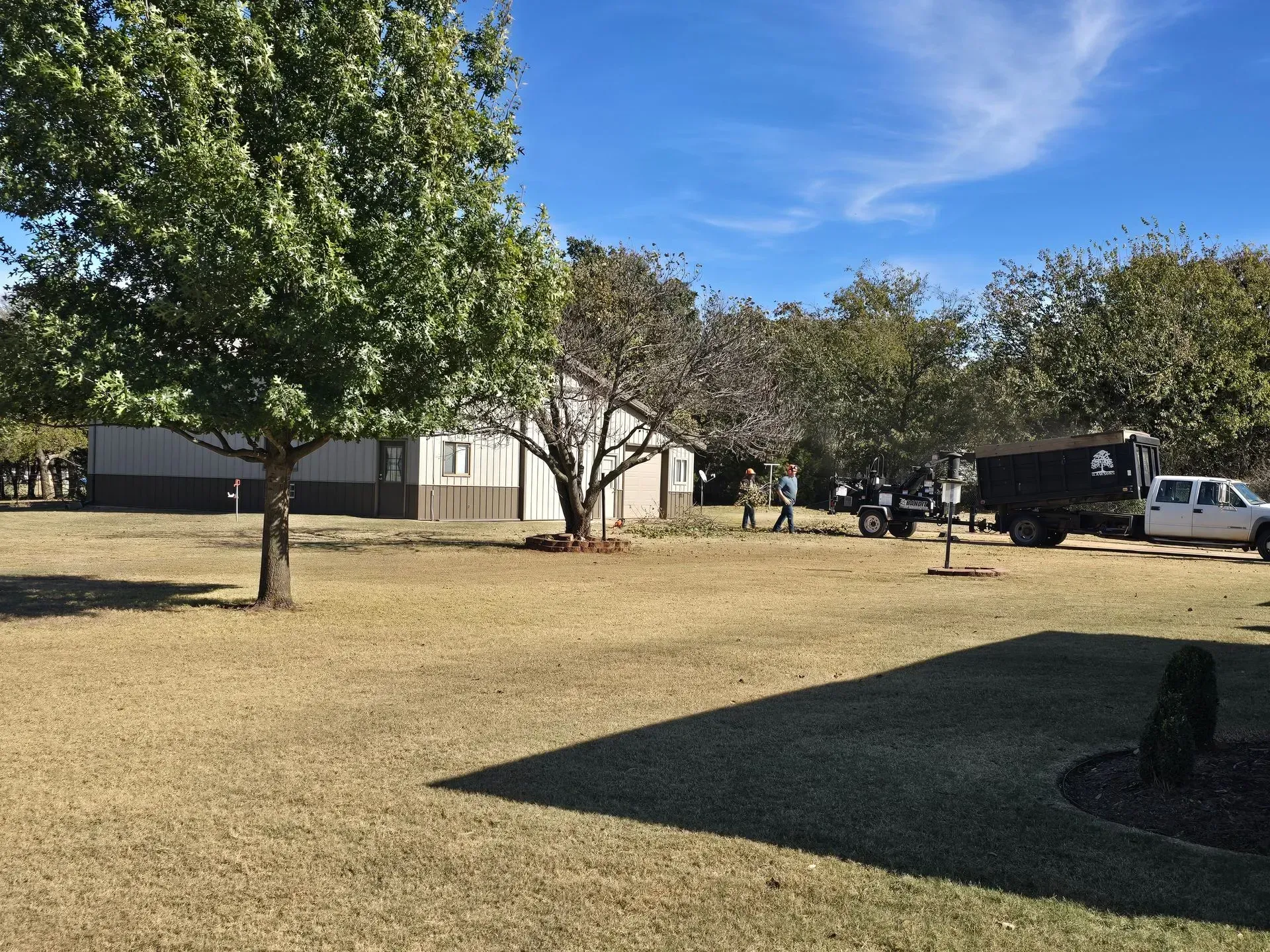 Sunny suburban yard with a large tree, dry grass, a white house, and parked vehicles in the background.