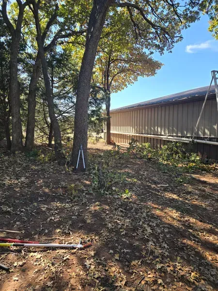 Wooded lot beside a long metal-sided building, with scattered leaves and a clear blue sky.