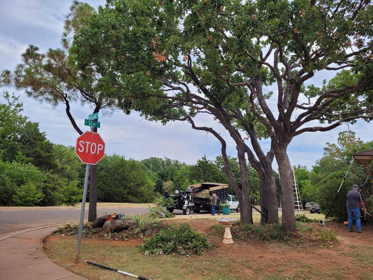 Rural road intersection with a stop sign, large trees, and a parked utility truck