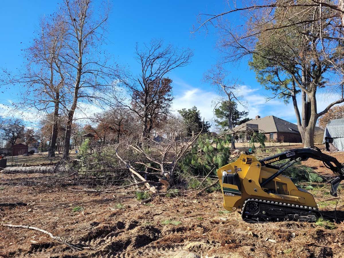 Yellow skid steer clearing fallen tree debris in a yard under a blue sky