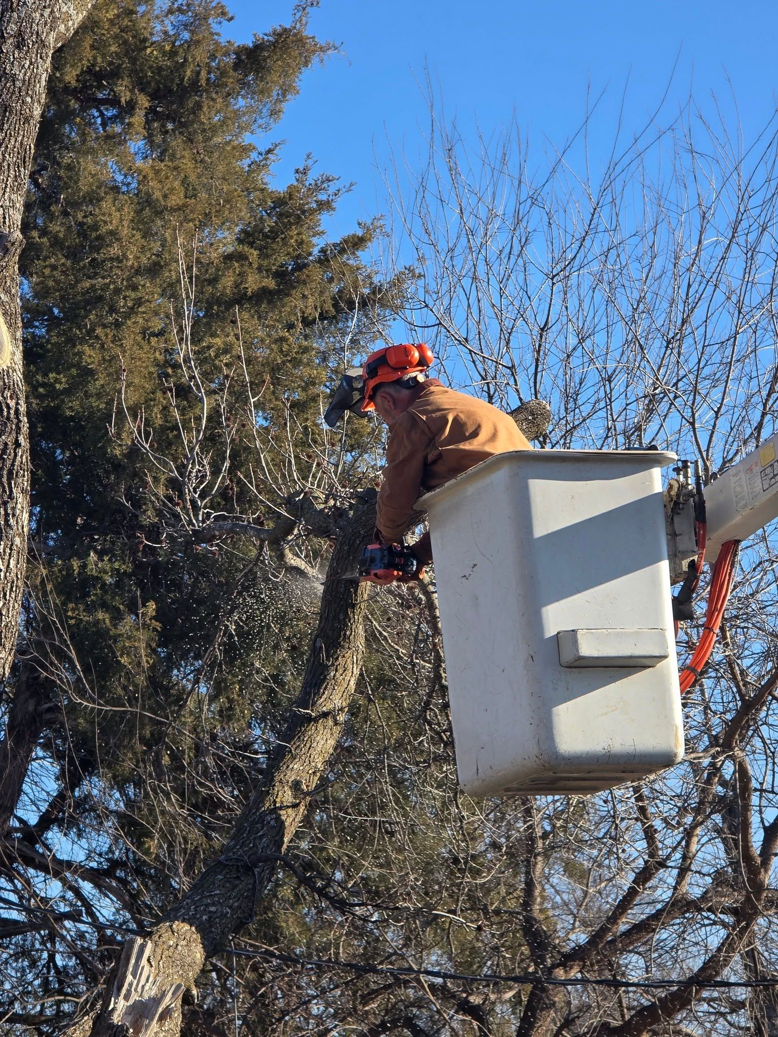 Worker in a white bucket lift trimming tree branches against a blue sky