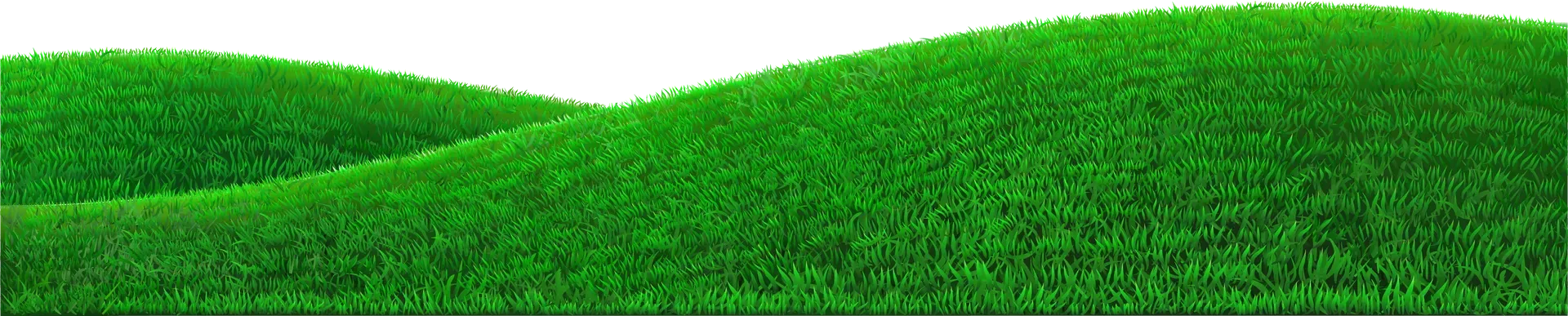 Green grassy hills under a bright sky