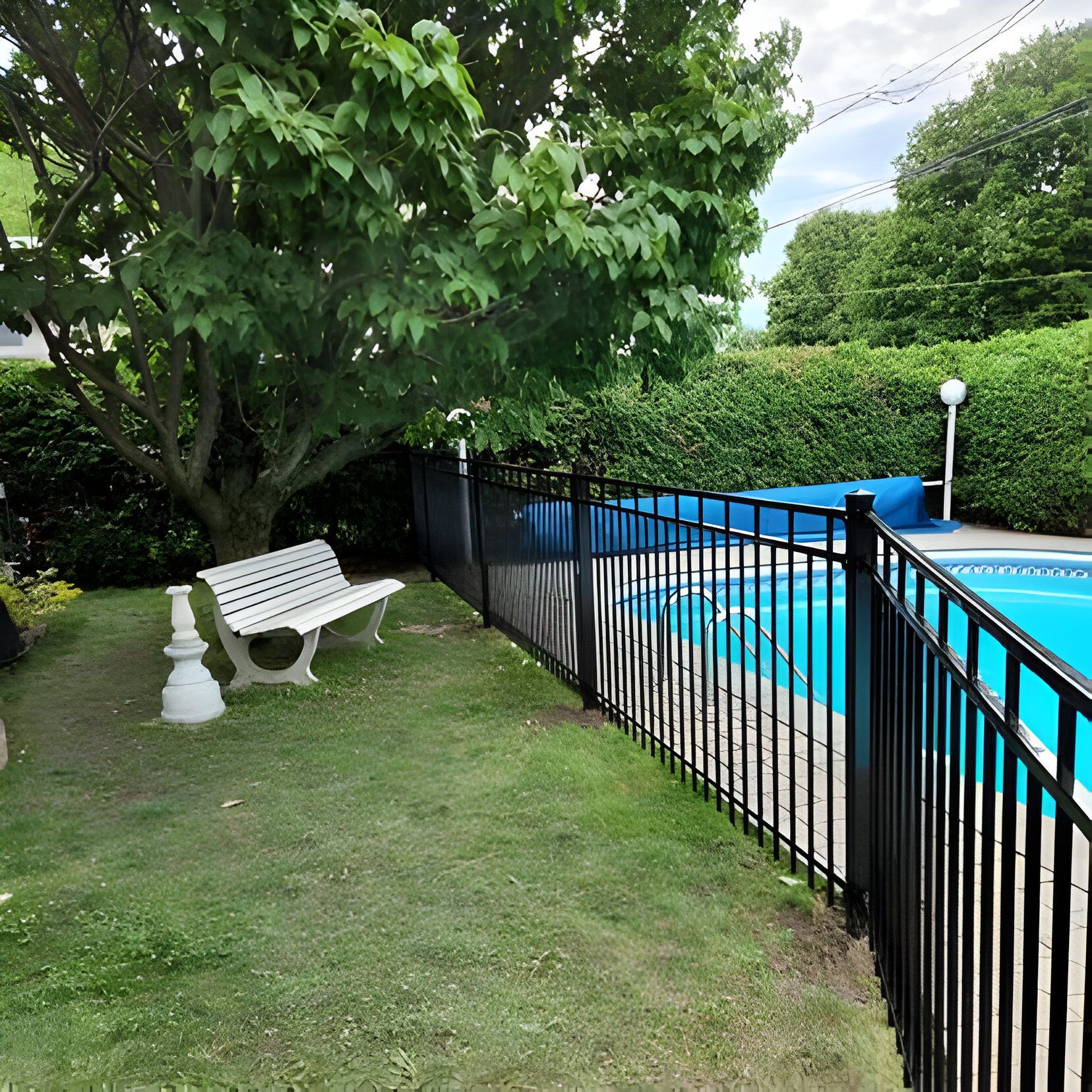 A black fenced backyard with a pool, green lawn, white bench, and large leafy tree.