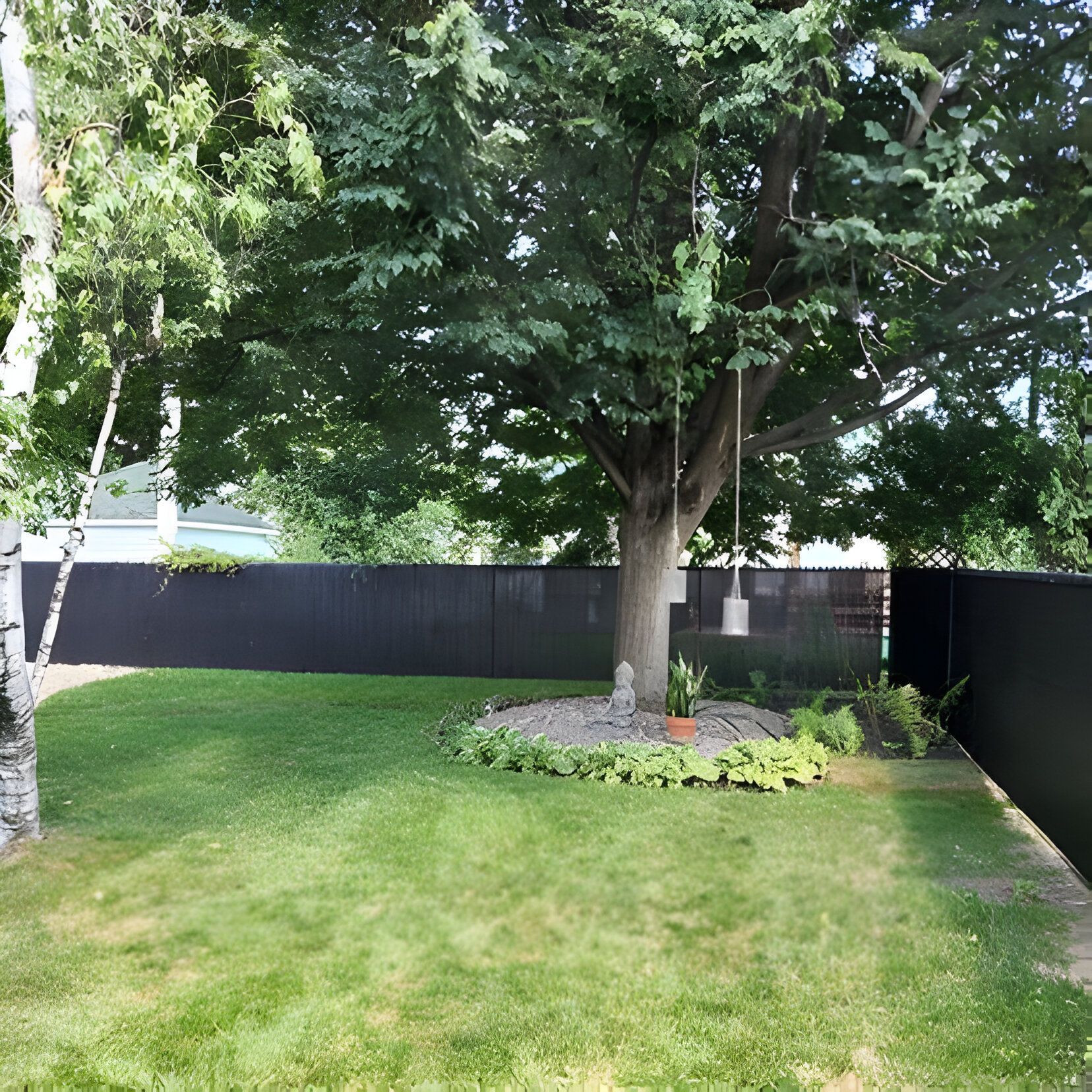 Lush backyard with green grass, trees, and a black fence. A swing hangs from the large tree.